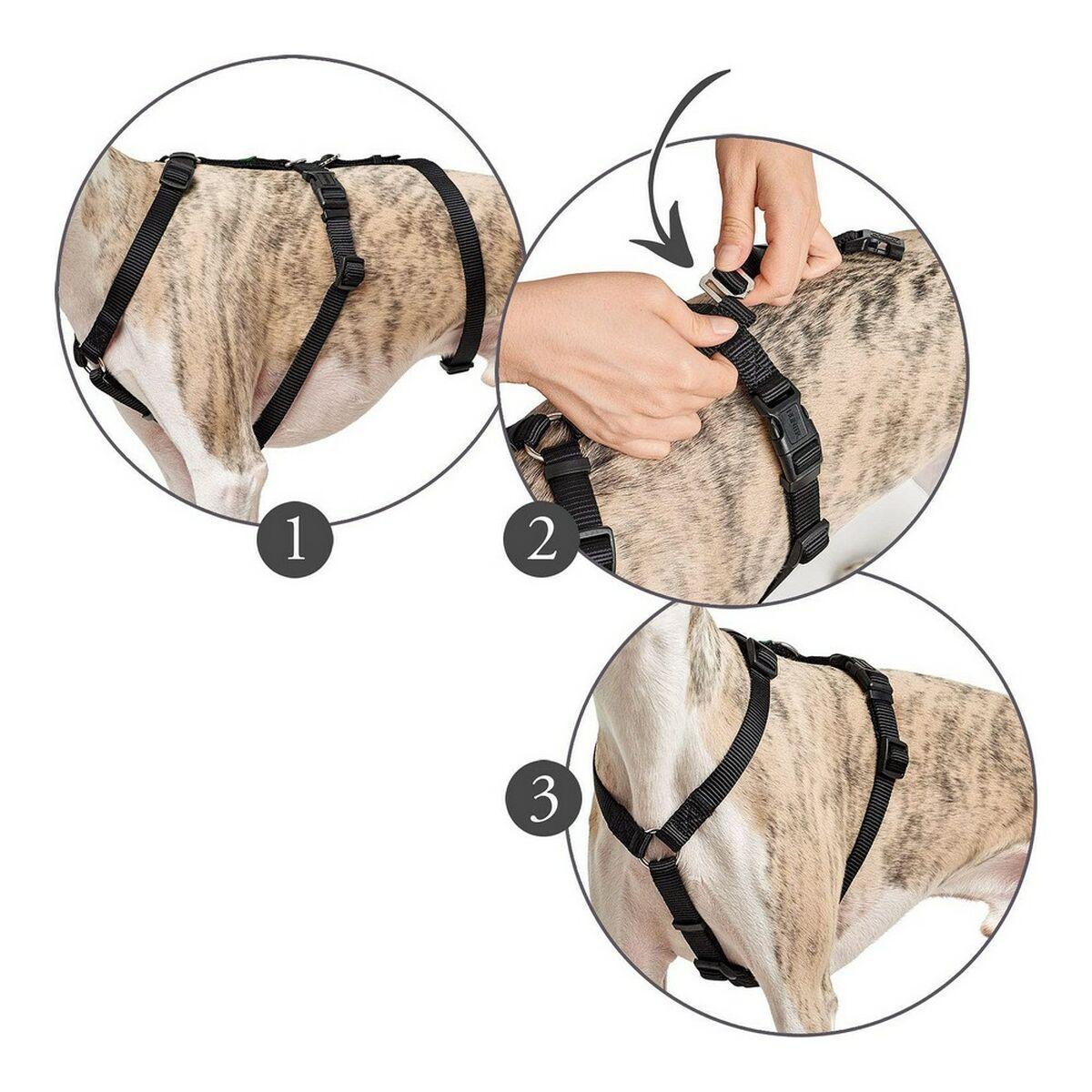 Hundesele Hunter - sort S/M (48-70 cm)