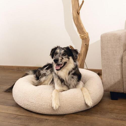 Beeztees hundeseng Jaxx 50x20 cm memoryskum beige