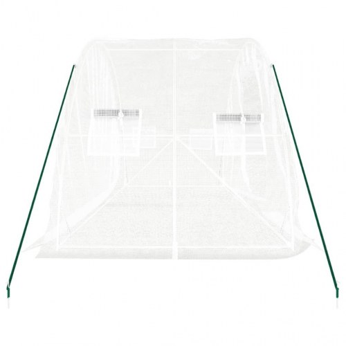 Drivhus med stålstel 10 m² 5x2x2,3 m hvid