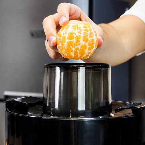 Extreme 4081 650W Kompakt Juicepresser