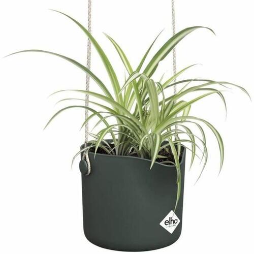 Hængende planter Elho Grøn Plastik Ø 18 cm