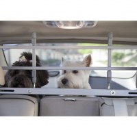 Hundegitre