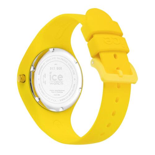 Dameur Ice IW017908 (Ø 36 mm)