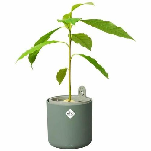 Urtepotte Elho Amazing Avocado Cirkulær Grøn Plastik Ø 16 cm