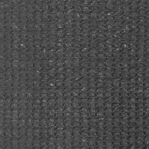 Udendørs rullegardin 240 x 230 cm antracitgrå