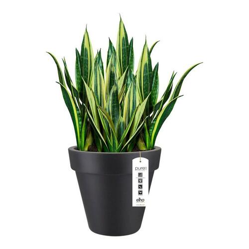 Elho urtepotte antracit Ø 40 cm