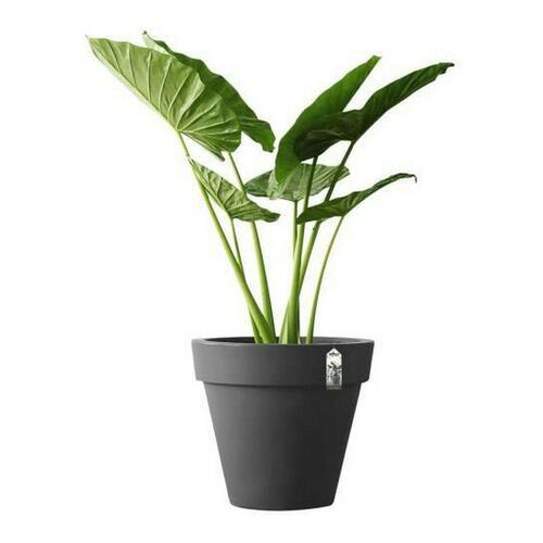 Elho urtepotte antracit Ø 40 cm