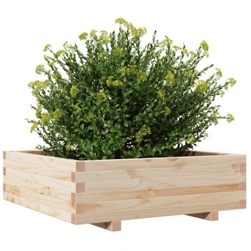 Plantekasse 80x80x26,5 cm massivt fyrretræ