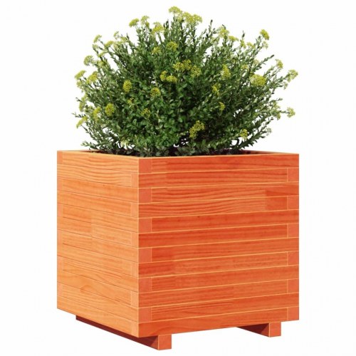 Plantekasse i massivt fyrretræ 50 x 50 x 49,5 cm - gyldenbrun