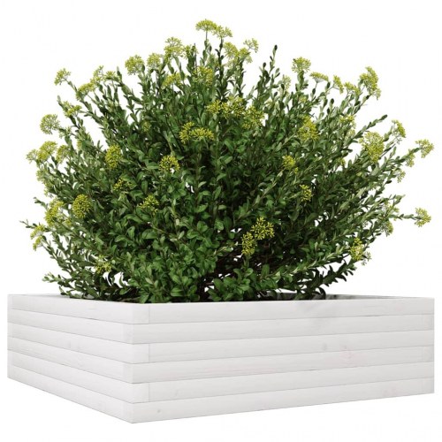 Plantekasse i massivt fyrretræ 80 x 80 x 23 cm - hvid