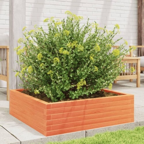 Plantekasse 80 x 80 x 23 cm i massivt fyrretræ - gyldenbrun