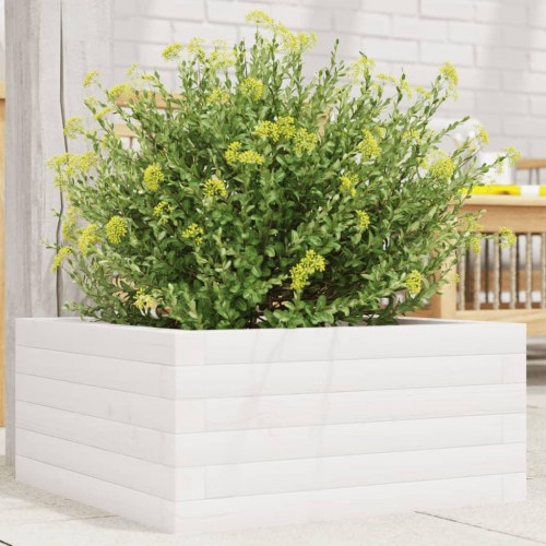 Plantekasse i massivt fyrretræ 50 x 50 x 23 cm - hvid
