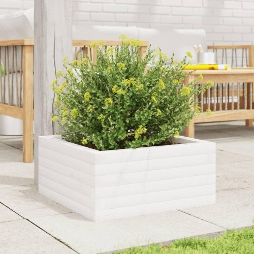 Plantekasse i massivt fyrretræ 50 x 50 x 23 cm - hvid