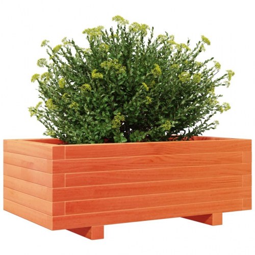 Plantekasse 70 x 40 x 26,5 cm i massivt fyrretræ - gyldenbrun