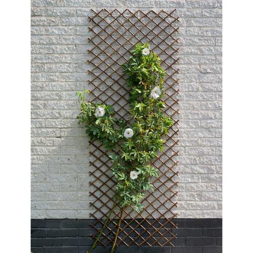 espalier 60x180 cm naturligt piletræ brun
