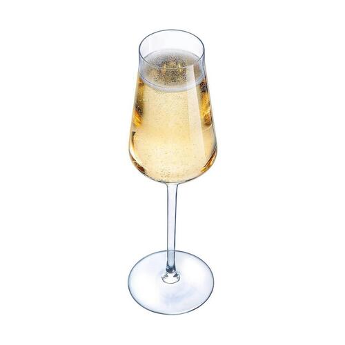 C&S Champagneglas - gennemsigtigt glas, 21 cl (6 stk.)
