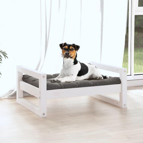 Hundeseng i massivt fyrretræ - hvid, 55,5 × 45,5 × 28 cm