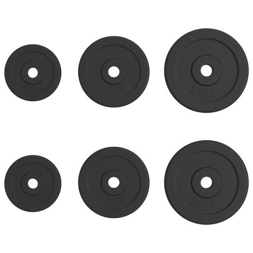 Vægtskiver 6 stk. 30 kg støbejern