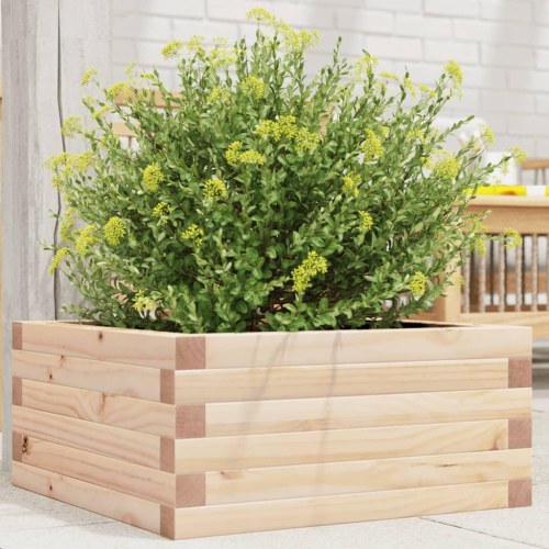 Plantekasse i massivt fyrretræ 50×50×23 cm - firkantet blomsterkasse