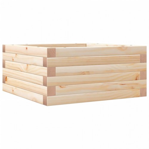 Plantekasse i massivt fyrretræ 50×50×23 cm - firkantet blomsterkasse