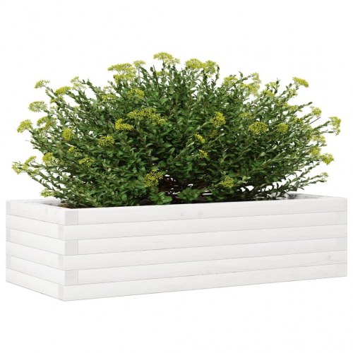 Plantekasse 90x40x23 cm massivt fyrretræ hvid