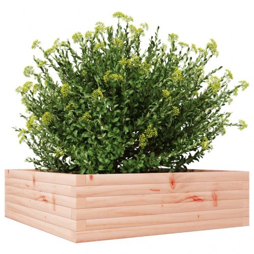 Plantekasse 80x80x23 cm massivt douglasgran