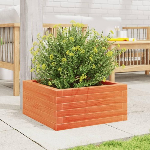 Plantekasse i massivt fyrretræ 50 x 50 x 23 cm - gyldenbrun