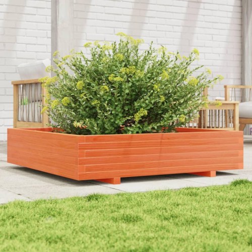 Plantekasse i massivt fyrretræ 110 x 110 x 26,5 cm - gyldenbrun