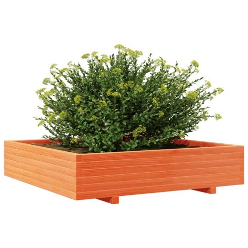 Plantekasse i massivt fyrretræ 110 x 110 x 26,5 cm - gyldenbrun