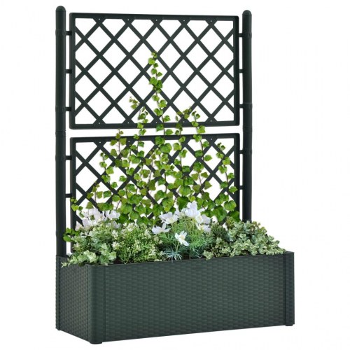 Højbed med espalier og automatisk vandingssystem grøn
