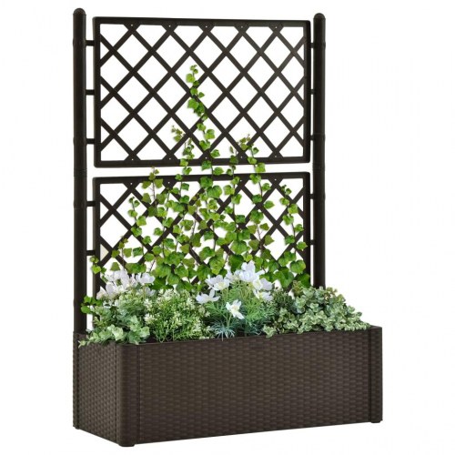 Selvvandende højbed med espalier - mokkafarvet, 100 × 43 × 142 cm