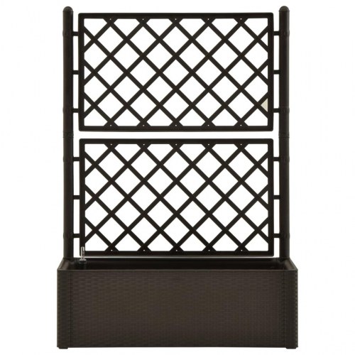 Selvvandende højbed med espalier - mokkafarvet, 100 × 43 × 142 cm