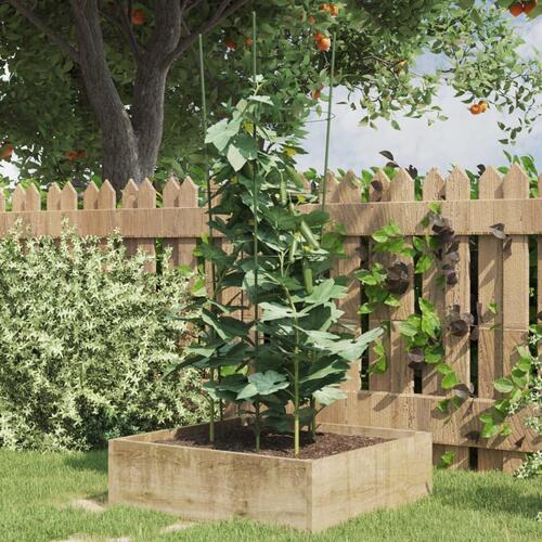 Plantestativ med 4 ringe 5 stk. 90 cm stål grøn