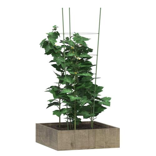 Plantestativ med 4 ringe 5 stk. 90 cm stål grøn