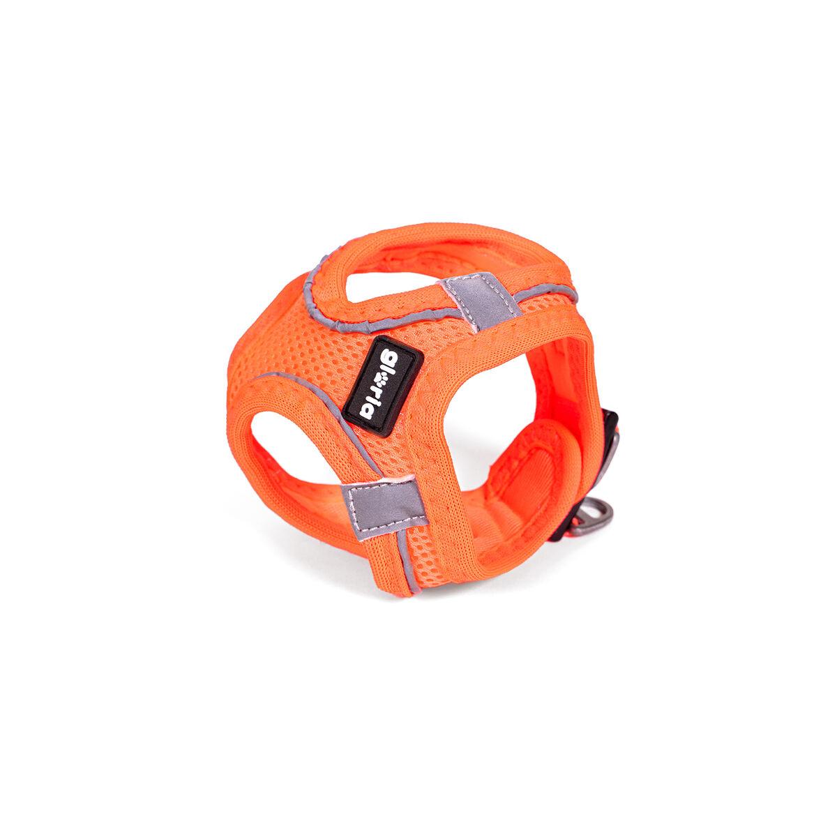 Gloria Hundesele Trek Star S - Orange (hals 29,4-32,6 cm, bryst 41,4-43 cm)