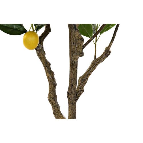 Træ Citrontræ Polyester (74 x 74 x 150 cm)