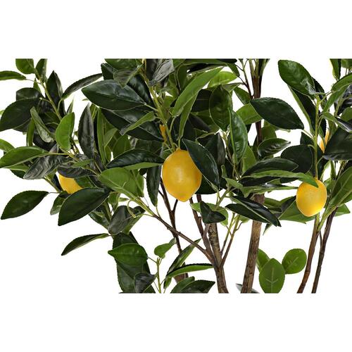 Træ Citrontræ Polyester (74 x 74 x 150 cm)