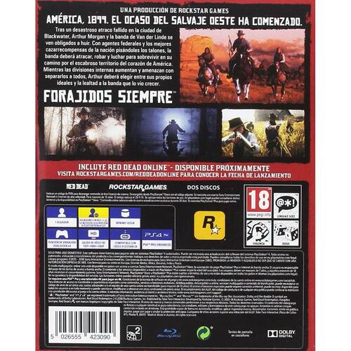 PlayStation 4 spil Sony RDR2