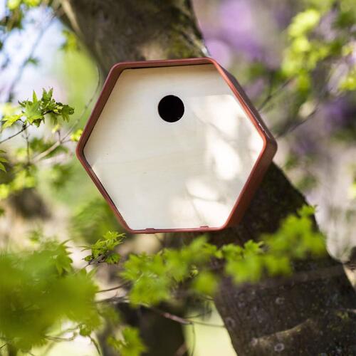 Capi fuglehus Hive 1 19x23x20 cm rundt hul brun