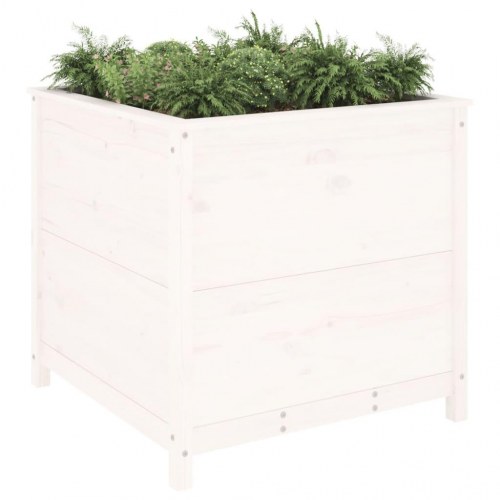 Plantekasse i massivt fyrretræ - hvid, 82,5 x 82,5 x 78 cm