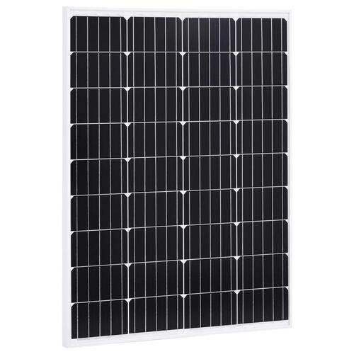 Solcellepaneler 2 stk. 100 W aluminium og sikkerhedsglas