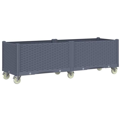 Plantekasse med hjul 160x50x54 cm PP grå