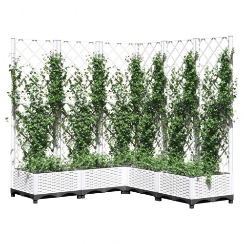Plantekasse med espalier 120 × 120 × 121,5 cm - PP, hvid