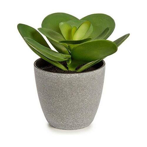 Dekorativ plante 18 x 18,5 x 18 cm Grå Grøn Plastik (6 enheder)