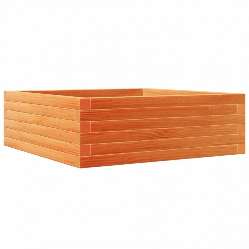 Plantekasse i massivt fyrretræ 70 x 70 x 23 cm - gyldenbrun