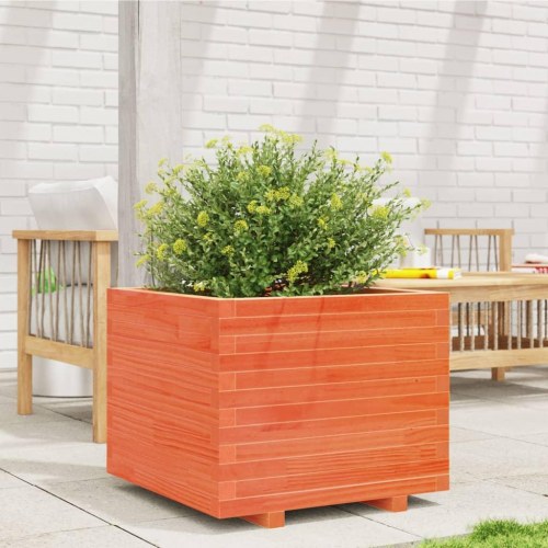 Plantekasse i massivt fyrretræ 60 x 60 x 49,5 cm - gyldenbrun