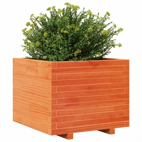 Plantekasse i massivt fyrretræ 60 x 60 x 49,5 cm - gyldenbrun