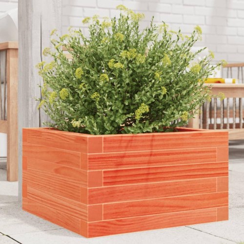 Plantekasse i massivt fyrretræ 40 x 40 x 23 cm - gyldenbrun