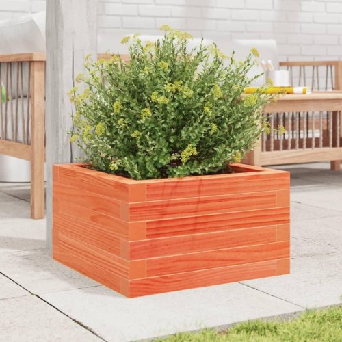 Plantekasse i massivt fyrretræ 40 x 40 x 23 cm - gyldenbrun