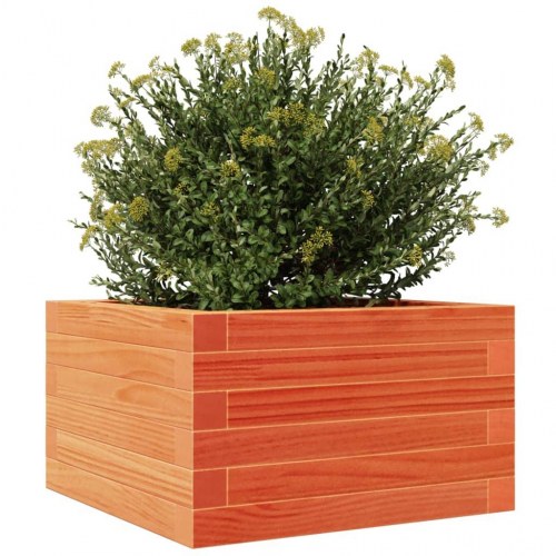 Plantekasse i massivt fyrretræ 40 x 40 x 23 cm - gyldenbrun